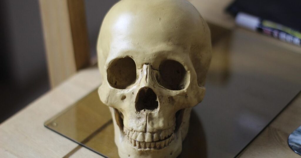 witty names for a skeleton