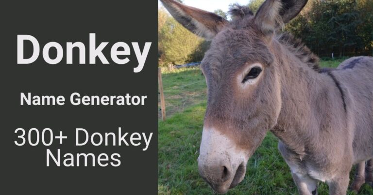 Donkey Names